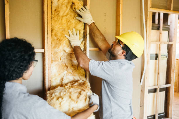 Best Insulation Removal Services  in Wyomissing, PA